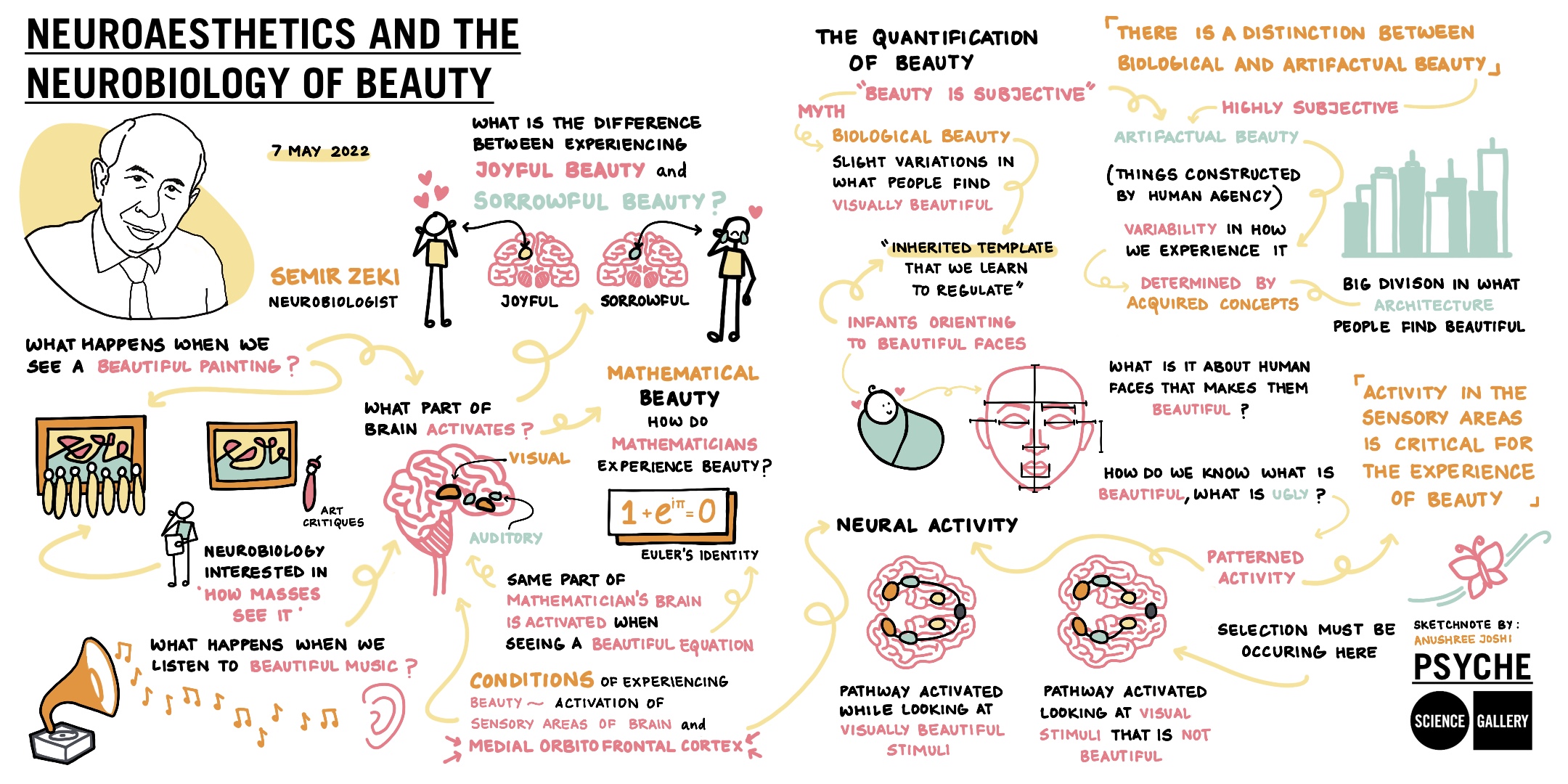 Psyche — Semir Zeki sketchnote